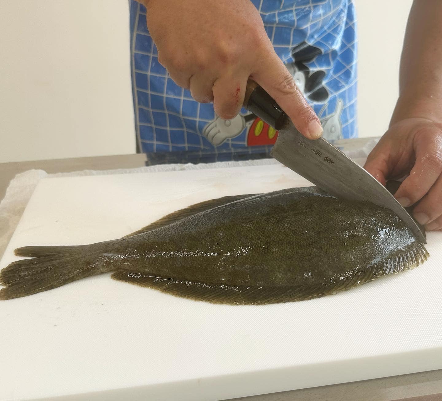 お手軽体験プログラム・魚のさばき方体験 – いくっちゃ!くだまつ観光ガイド